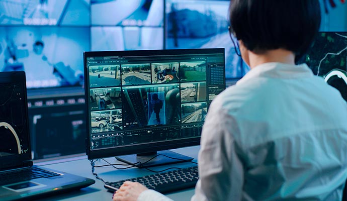 surveillance monitoring system