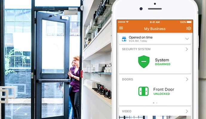 commercial smart business security system