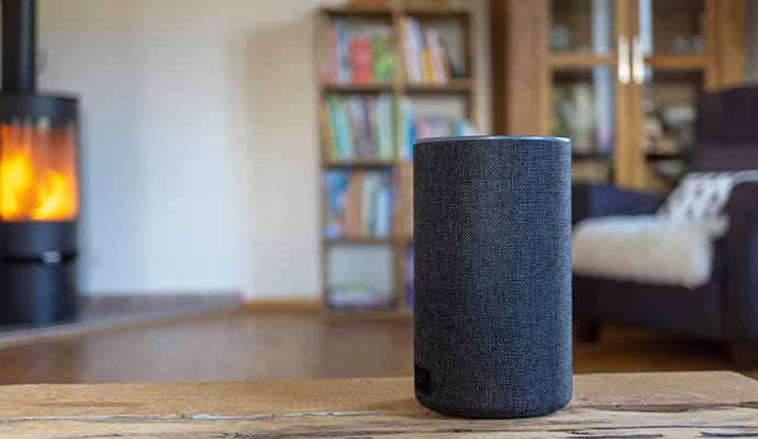 Voice control system